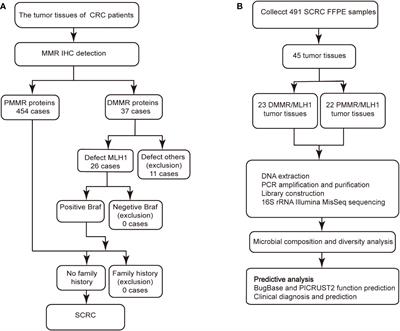 Diagnosis and functional prediction of microbial markers in tumor tissues of sporadic colorectal cancer patients associated with the MLH1 protein phenotype